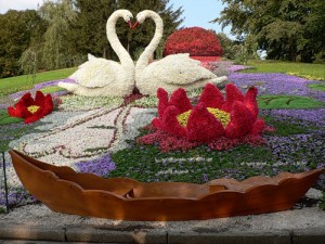 paturi de flori decorative în țară cu propriile mâini o fotografie de paturi de flori în grădină și instrucțiunile