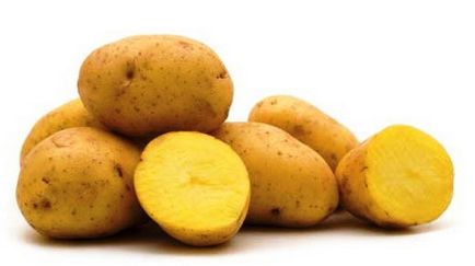 Cel mai ieftin mod de cultivare a cartofului de elită, 6 acri