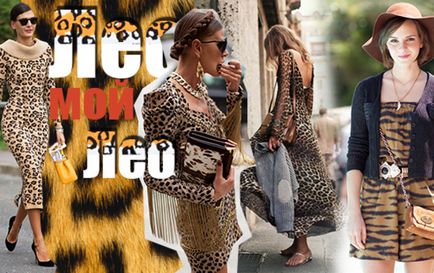 pisica sălbatică ce să poarte rochie de leopard de vară