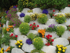 Design de paturi de flori în țară cu paturi tipuri de propriile lor mâini, alegerea de culori, gazon de plantare