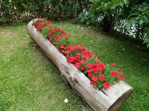 Design de paturi de flori în țară cu paturi tipuri de propriile lor mâini, alegerea de culori, gazon de plantare