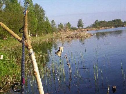 Donka pentru începători, pescuitul în Donk, echipamente si pescuit
