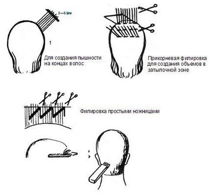 Degresivă capetele de păr, înainte și după fotografii, o descriere detaliată, sfaturi video,