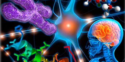 glioza creierului - ceea ce este, ceea ce este diagnostic, metode de tratament periculoase