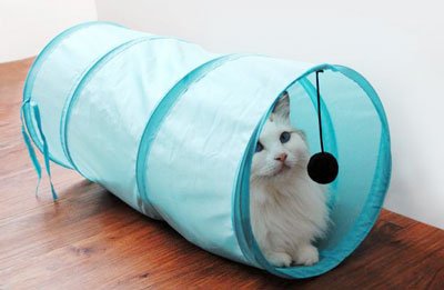 Tunel joc pentru pisici