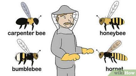 Cum să scapi de albine