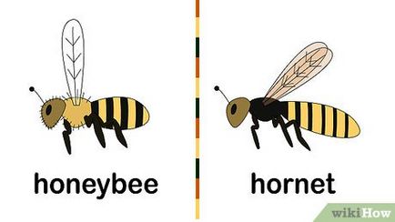 Cum să scapi de albine