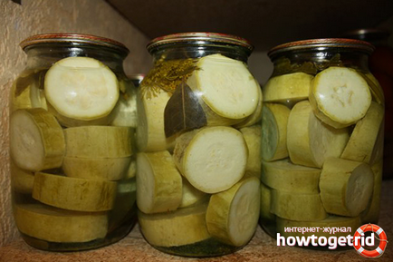 Ca conserve dovleacul (Canning atât suc de fructe de iarnă) Cum de a păstra pentru suc de fructe de iarnă