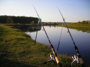 Cum să pescuiască în vara de sfaturi de la pescari cu experiență 