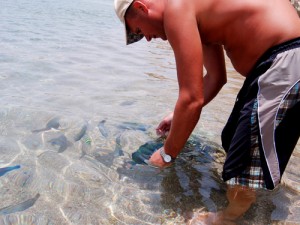 Cum să pescuiască în vara de sfaturi de la pescari cu experiență 