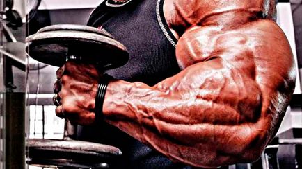 Cum de a construi mreana biceps, gantere la domiciliu