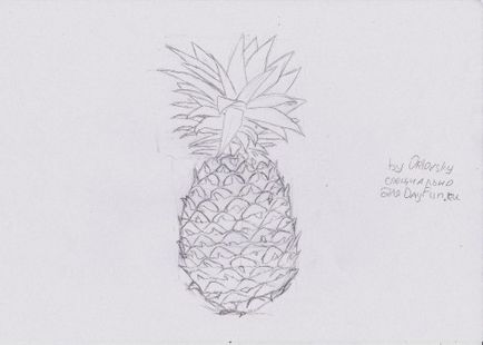 Cum de a desena un creion etape ananas