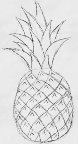 Cum de a desena un creion etape ananas, lessdraw