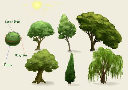 Cum de a desena o pădure copac vopsea copac