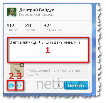 Cum de a trimite un tweet tweet pentru a crea un tweeter, blog Dmitry Bajdukov