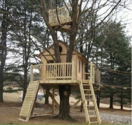 Cum de a construi o casă în copac