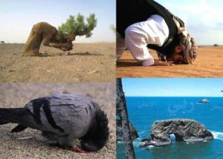 Cum a Dumnezeu (a deveni) Cum a făcut Dumnezeu