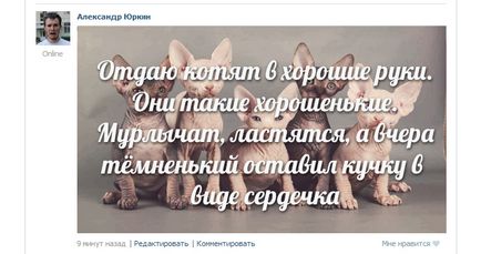 Cum de a posta în VKontakte