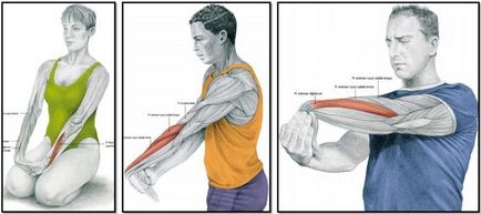 Cum se întinde mușchii