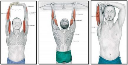 Cum se întinde mușchii