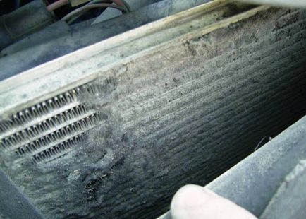 Cum să vă spălați și curățați radiatorul mașinii