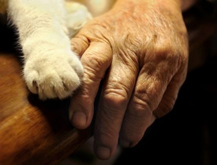 Cum se calculează raportul de transmisie (roată calculat) Cum se calculează raportul de transmisie