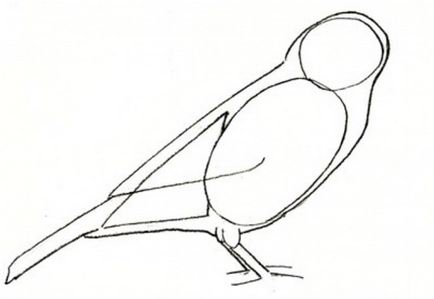 Cum de a desena un creion pasăre