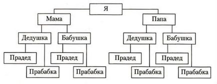 Cum de a face un arbore genealogic cu mâinile