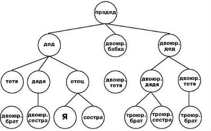 Cum de a face un arbore genealogic cu mâinile