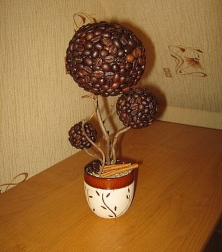 Cum sa faci un copac de cafea în casă cu mâinile fotografia lui
