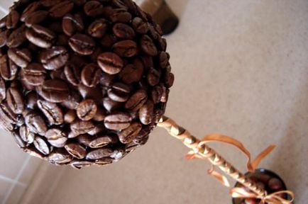 Cum sa faci un copac de cafea în casă cu mâinile fotografia lui