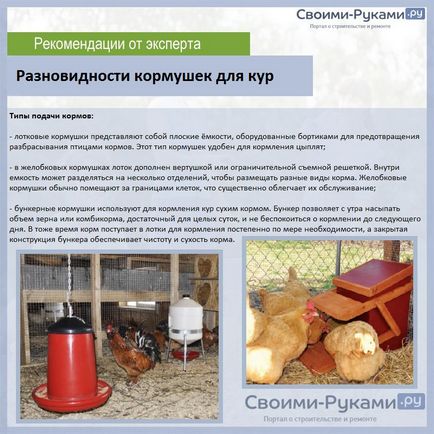 Cum sa faci un alimentator de pasăre pentru puii de găină cu mâinile lor - primele 10 opțiuni! (Lor) Cum sa faci un alimentator de pasăre pentru puii de găină cu mâinile lor - primele 10 opțiuni!