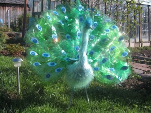Cum sa faci un păun din sticle de plastic instrucțiuni pas cu pas cu video (a face) Cum sa faci un păun din sticle de plastic instrucțiuni pas cu pas cu imagini video
