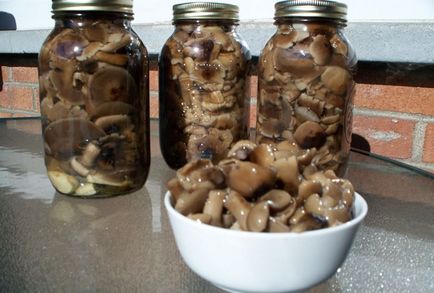 Cum să păstrați ciuperci proaspete în timpul iernii, murate, fierte, la o zi după colectare, alte moduri