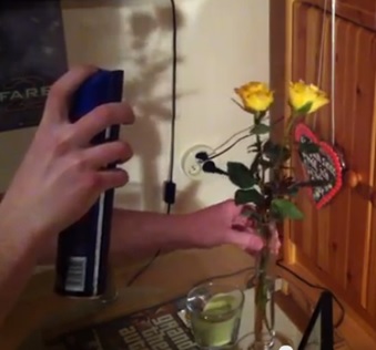 Cum să păstrați flori pentru totdeauna