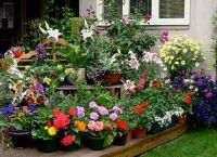 Cum de a decora cabana (dacha) Cum de a decora cabana