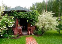 Cum de a decora cabana (dacha) Cum de a decora cabana