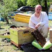 Care sunt beneficiile pentru plante albinele colectare nectar