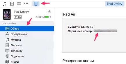Cum știu data activării iPad (iPhone, iPod), totul despre iPad