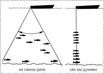 Cum de a alege un sonar - instrucțiuni de client