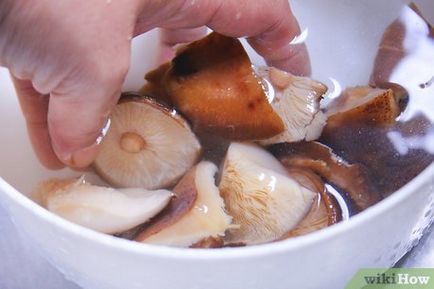 Cum se păstrează ciuperci proaspete