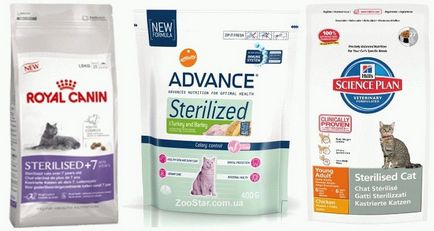 Hrănire pentru spayed și pisici sterilizate, site-ul „halbă“