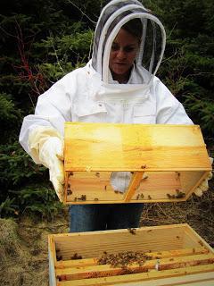 Gamele pentru albine cu propriile lor mâini (foto)