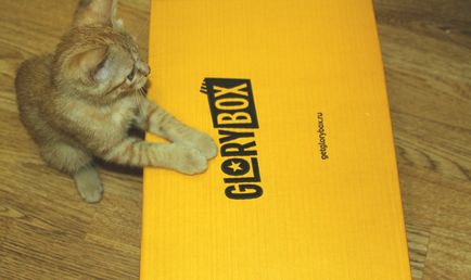 Fericirea Caseta glorybox - cel mai bun cadou pentru animalele de companie