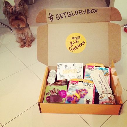 Fericirea Caseta glorybox - cel mai bun cadou pentru animalele de companie