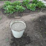 gunoi de grajd de pui ca metode de îngrășăminte de preparare și utilizare