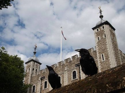 Turnul din Londra - descriere, istorie, prizonieri, legende, fotografii