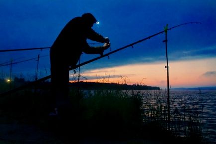 pescuit plătică în iunie și celelalte luni de vară