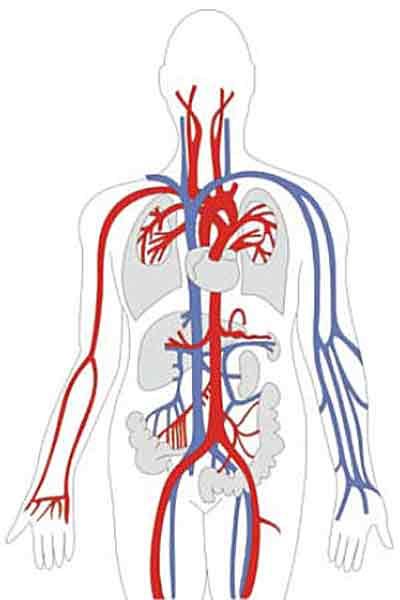 utilizarea ulei de terebentină în scopuri medicinale