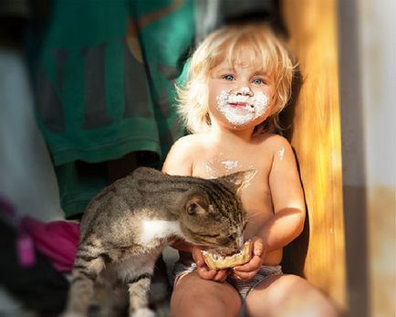 Milota Fara Frontiere 23 fotografii ale copiilor kindest cu pisici